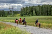 Nøstvedtmarka egner seg godt for ridning. Her like sør for Nøstvet gård. Foto: Leif-Harald Ruud (2020)