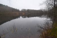 23. N0021 Den øverste av Nydammene 2020.JPG