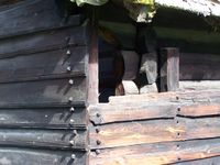 256. NF 77 Sengebu03.JPG