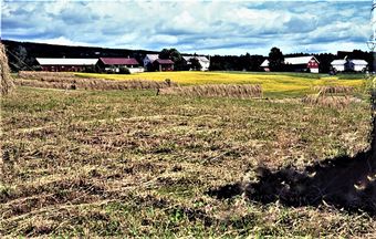 Narmogardene fra sør-vest.jpg