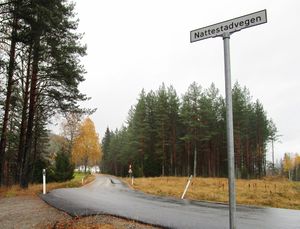 Nattestadvegen Veggli 2016.jpg