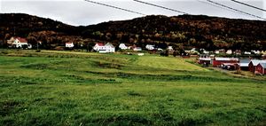 Nausttufter til store skip på Bjarkøya.jpg