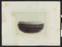 114. Near Nystuen Norway 1866 - no-nb digifoto 20130118 00015 bldsa BH 022.jpg