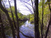 Nedenfor Bentsebrua.