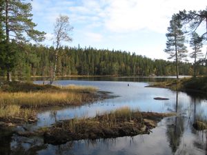 Nedre Fisketjenn (be-2009-10-04-IMG 7028).JPG