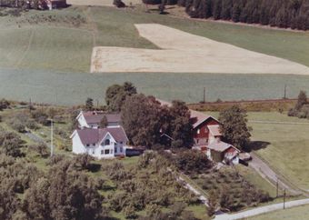 Nedre Hoen - WF264.jpg