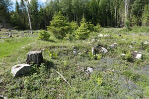 Nedre Pauleeie 2022 (P1010847).JPG