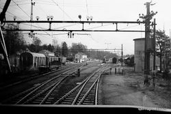 Nelaug stasjon oversikt. Ukjent/</Origo - Norske jernbanestasjoner>