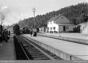 Nelaug stasjon.jpg