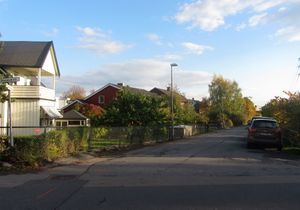 Nellikveien Oslo 2014.jpg