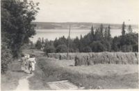 Nerengvegen i 1948. Slåttonn på Amundrustadjordet.