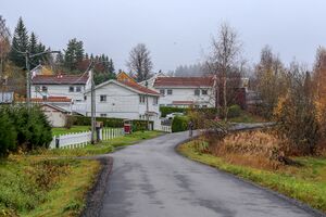 Nes Bråtenvegen 221030.jpg
