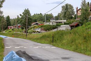 Nes Høievegen 230812.jpg