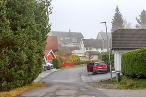 Nes Rugdevegen 221030.jpg