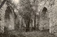 64. Nes kirkeruin, Akershus - Riksantikvaren-T041 01 0054.jpg