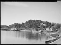 40. Nesset - no-nb digifoto 20150626 00194 NB MIT FNR 11356.jpg