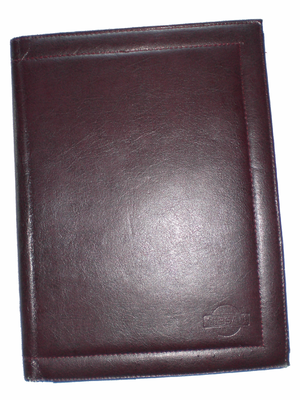 Nissan skinnmappe.png