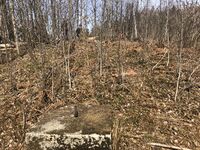 Et bardunfeste for antenneanlegget. En mørkkledd person markerer mastefunamentet, en rød person markerer et annet bardunfeste.