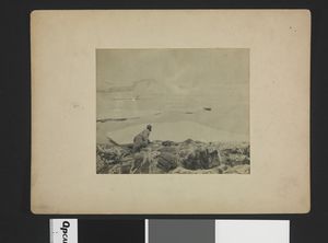 No-nb bldsa 3b040.jpg