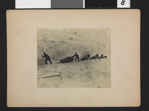 No-nb bldsa 3b053.jpg