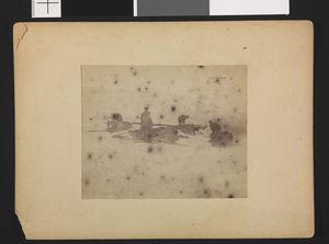 No-nb bldsa 3b058.jpg