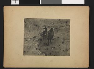 No-nb bldsa 3b063.jpg