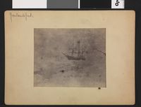 Ved ankomst til Grønlandskysten, 17. juli 1888.