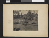 No-nb bldsa 3b102.jpg