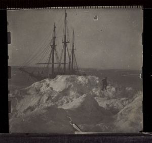 No-nb bldsa 3c028.jpg