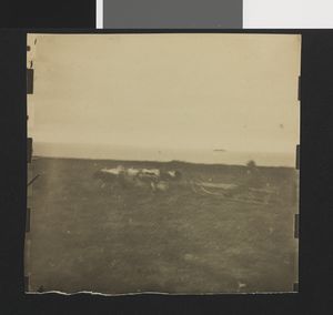 No-nb bldsa 3c032.jpg