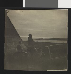 No-nb bldsa 3c033.jpg