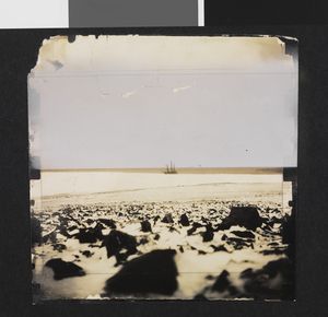 No-nb bldsa 3c039.jpg