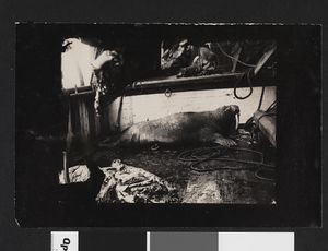 No-nb bldsa 3c043.jpg