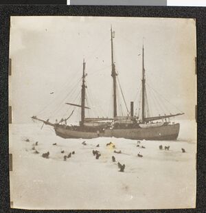 No-nb bldsa 3c046.jpg