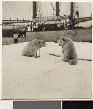 No-nb bldsa 3c048.jpg