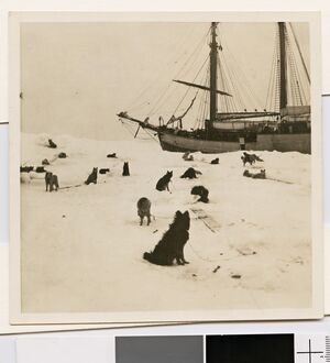 No-nb bldsa 3c049.jpg