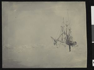 No-nb bldsa 3c053.jpg