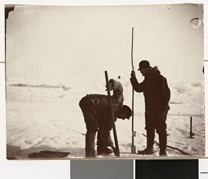 No-nb bldsa 3c056.jpg