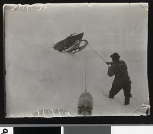 No-nb bldsa 3c078.jpg