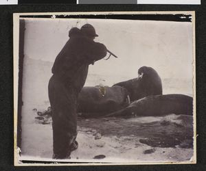 No-nb bldsa 3c088.jpg