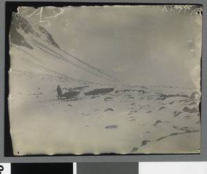 No-nb bldsa 3c098.jpg