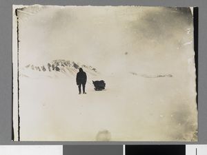 No-nb bldsa 3c103.jpg