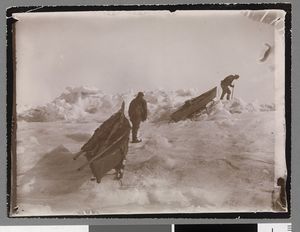 No-nb bldsa 3c113.jpg