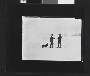 No-nb bldsa 3c116.jpg