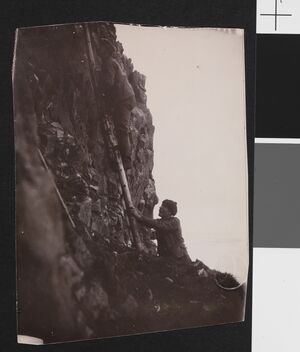 No-nb bldsa 3c132.jpg