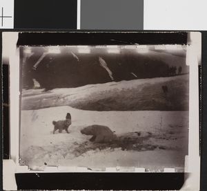 No-nb bldsa 3c134.jpg