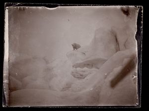 No-nb bldsa 3c135.jpg