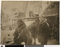 485. No-nb bldsa 3c170.jpg