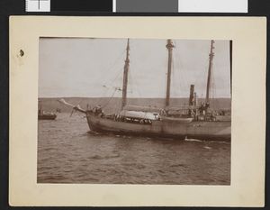 No-nb bldsa 3c246.jpg