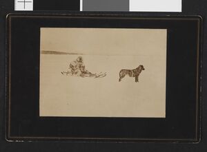 No-nb bldsa 3c277.jpg